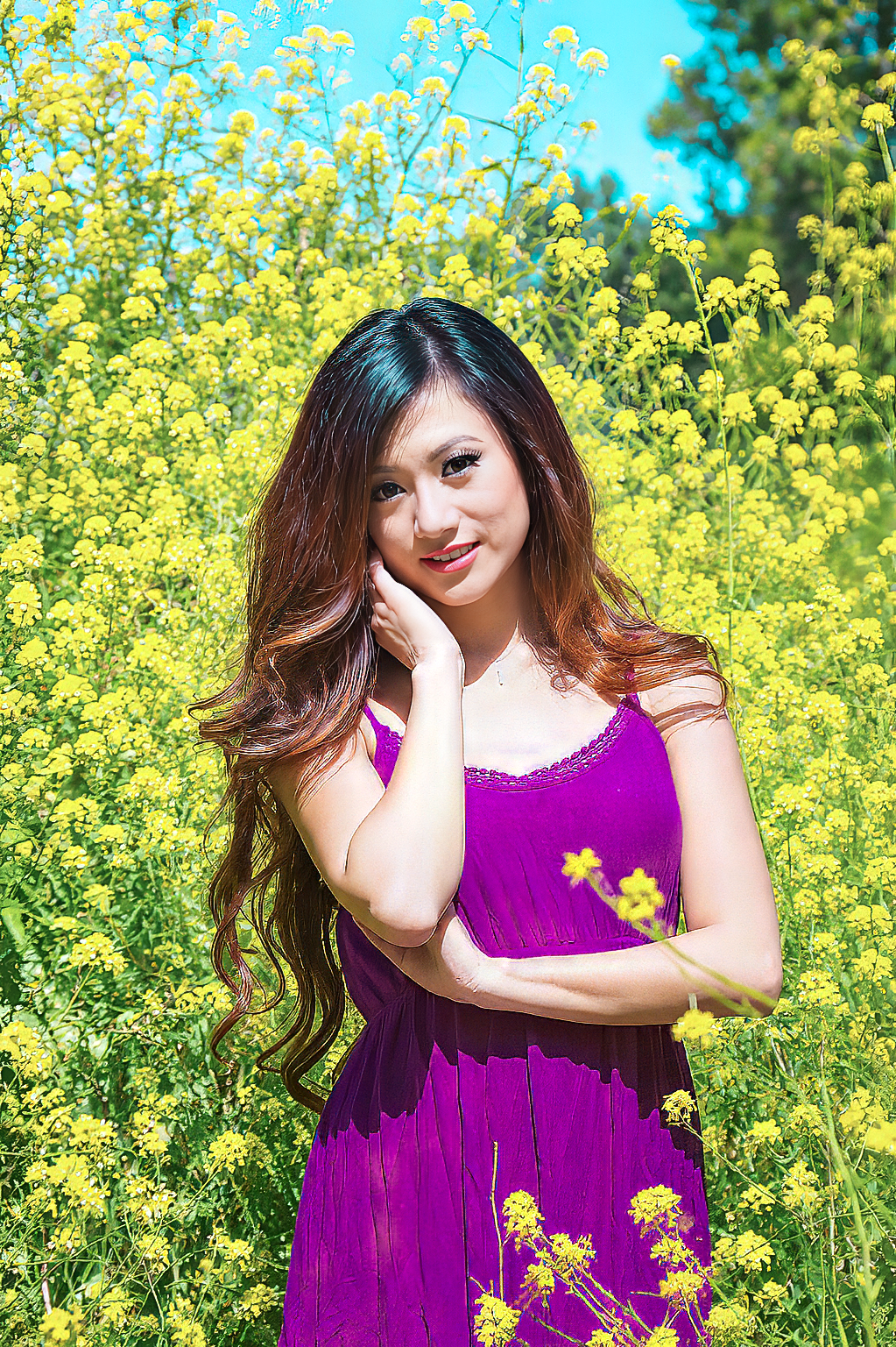 Hoa Vàng-SJ- (8)